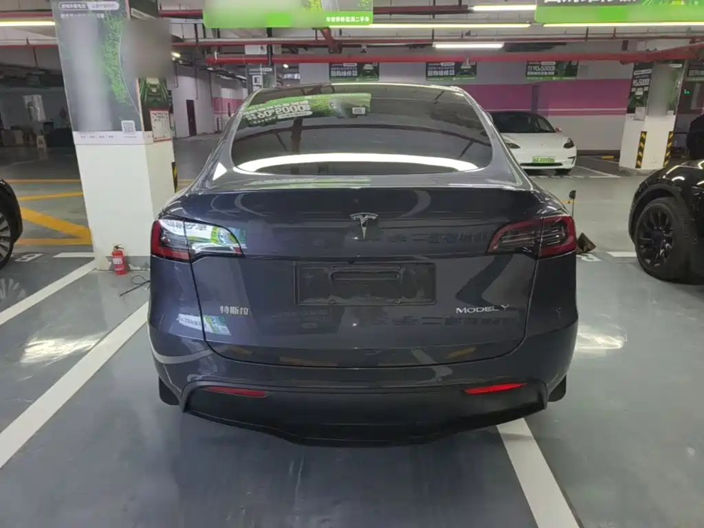 Tesla Model Y — миниатюра 6