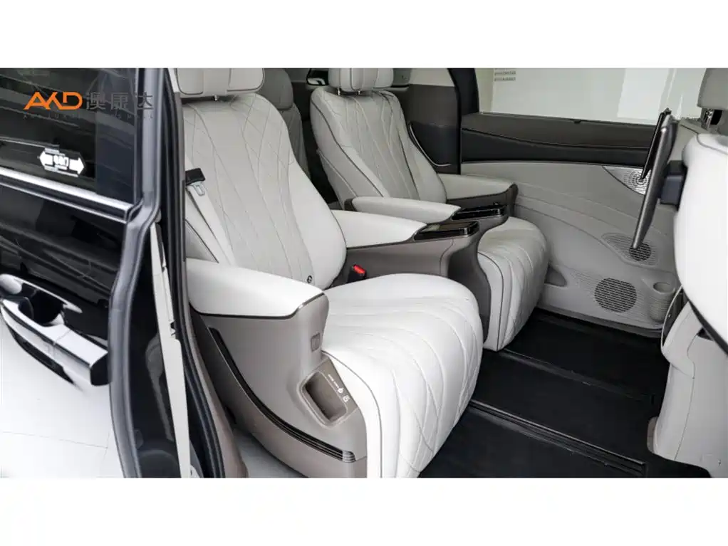 Denza Denza D9 — миниатюра 8