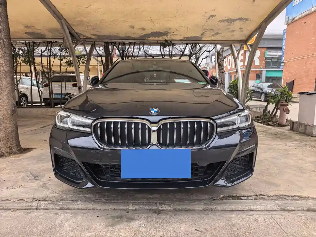 BMW 5 SERIES