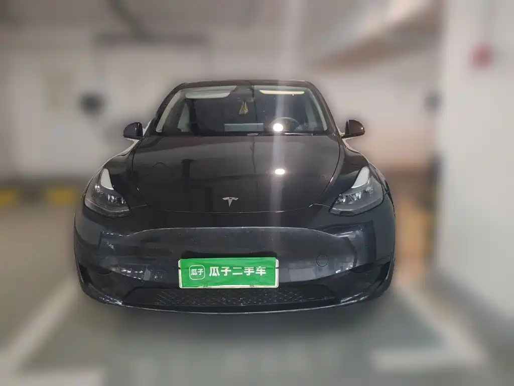 Tesla Model Y — миниатюра 2