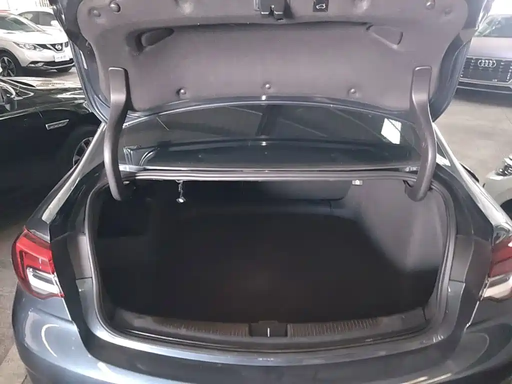 Buick Regal — миниатюра 19