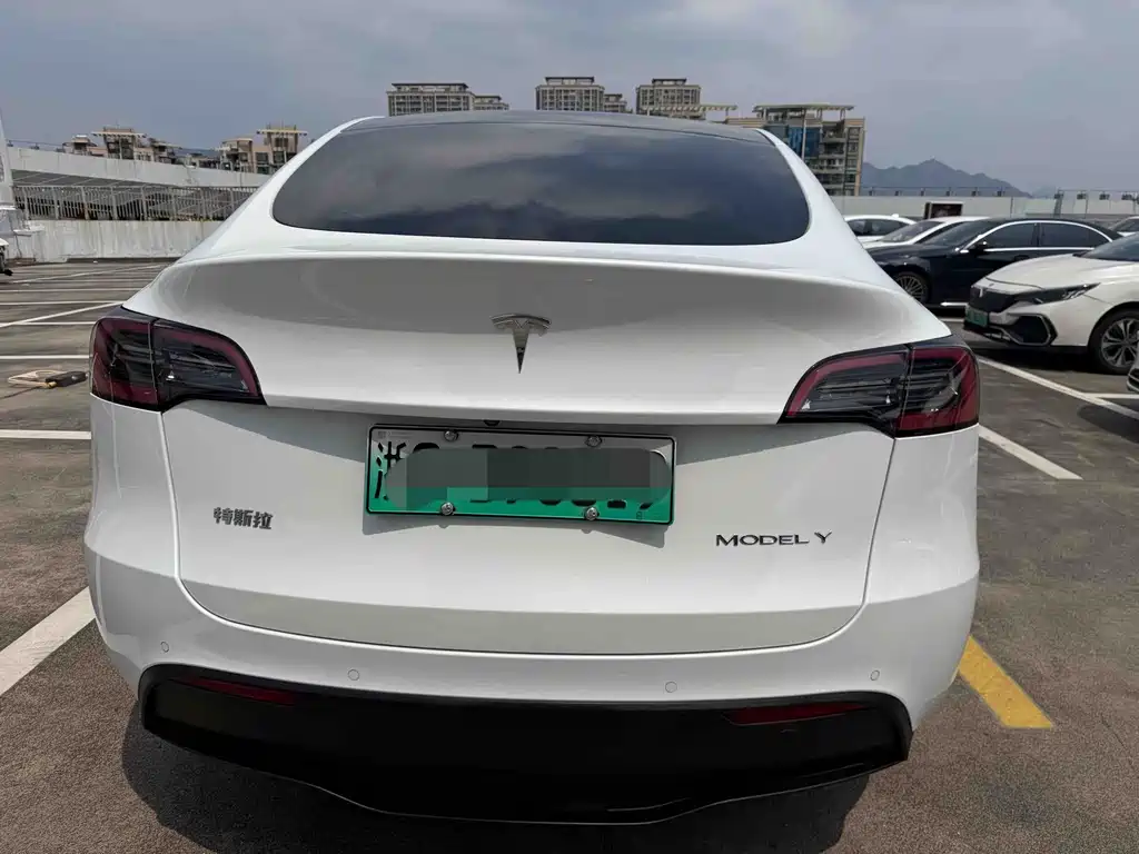 Tesla Model Y — миниатюра 8