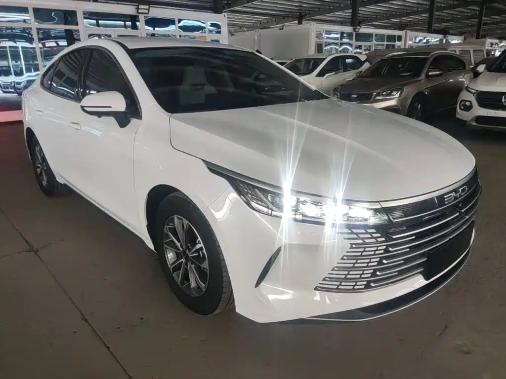 BYD Destroyer 05 — миниатюра 4
