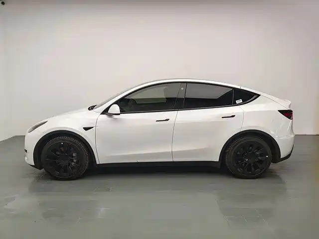 Tesla Model Y — миниатюра 4