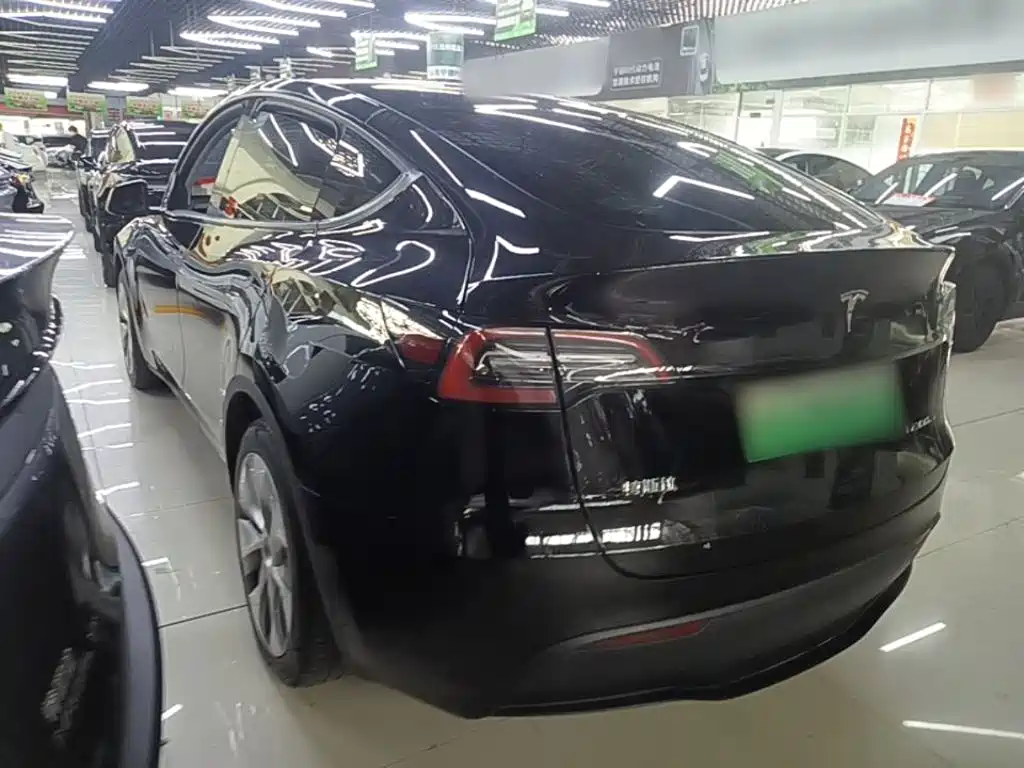Tesla Model Y — миниатюра 5