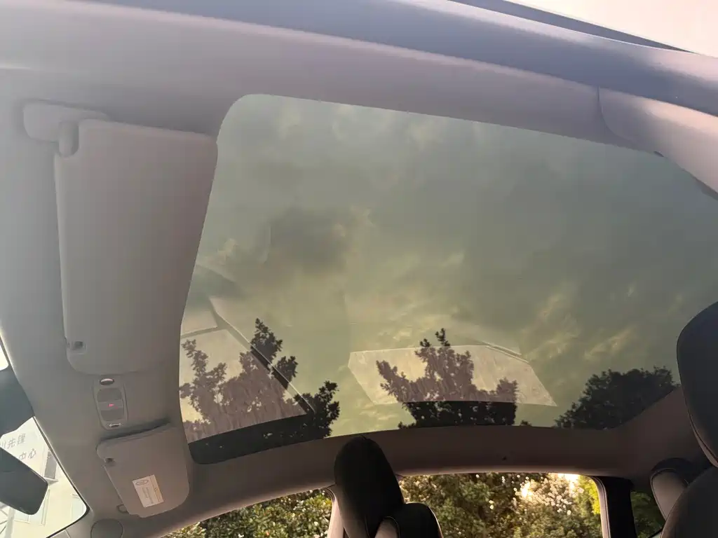 Tesla Model Y — миниатюра 15