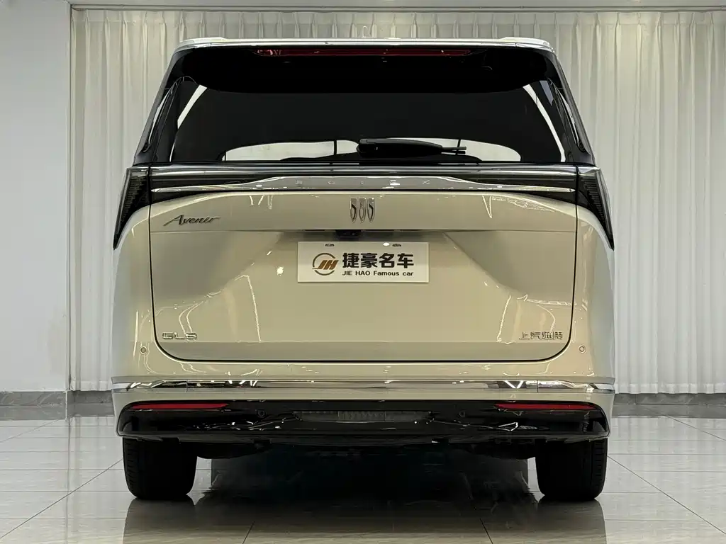 Buick GL8 — миниатюра 16