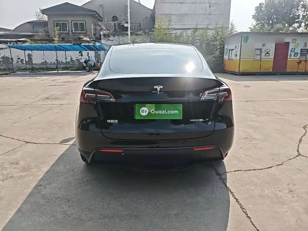 Tesla Model Y — миниатюра 6