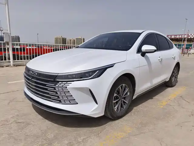 2025 BYD Destroyer