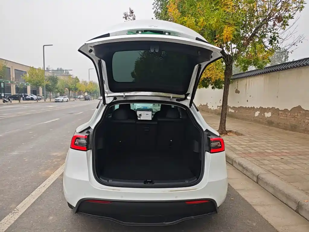 Tesla Model Y — миниатюра 19
