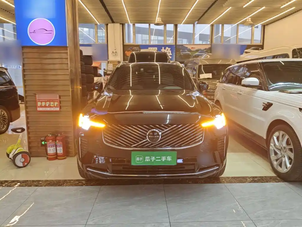 Volvo XC90 — миниатюра 3