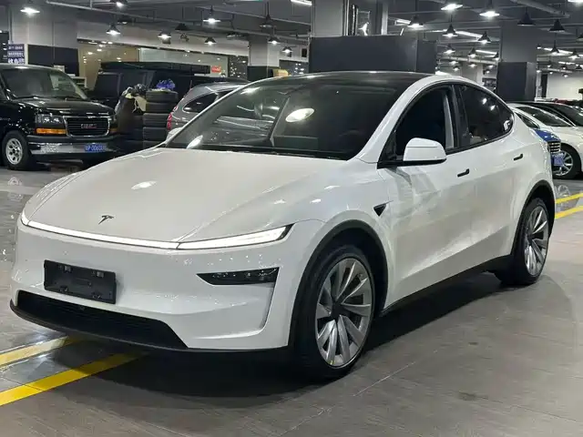 TESLA MODEL Y 2025