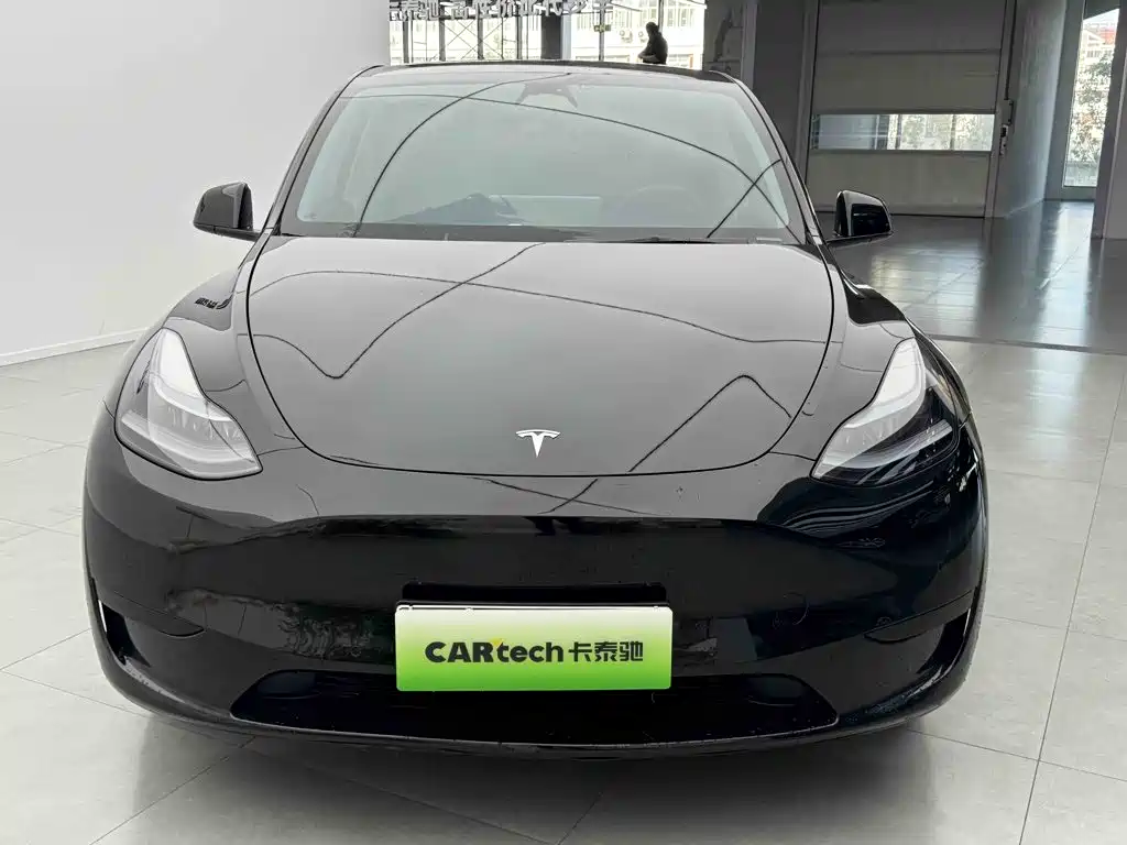 Tesla Model Y — миниатюра 2