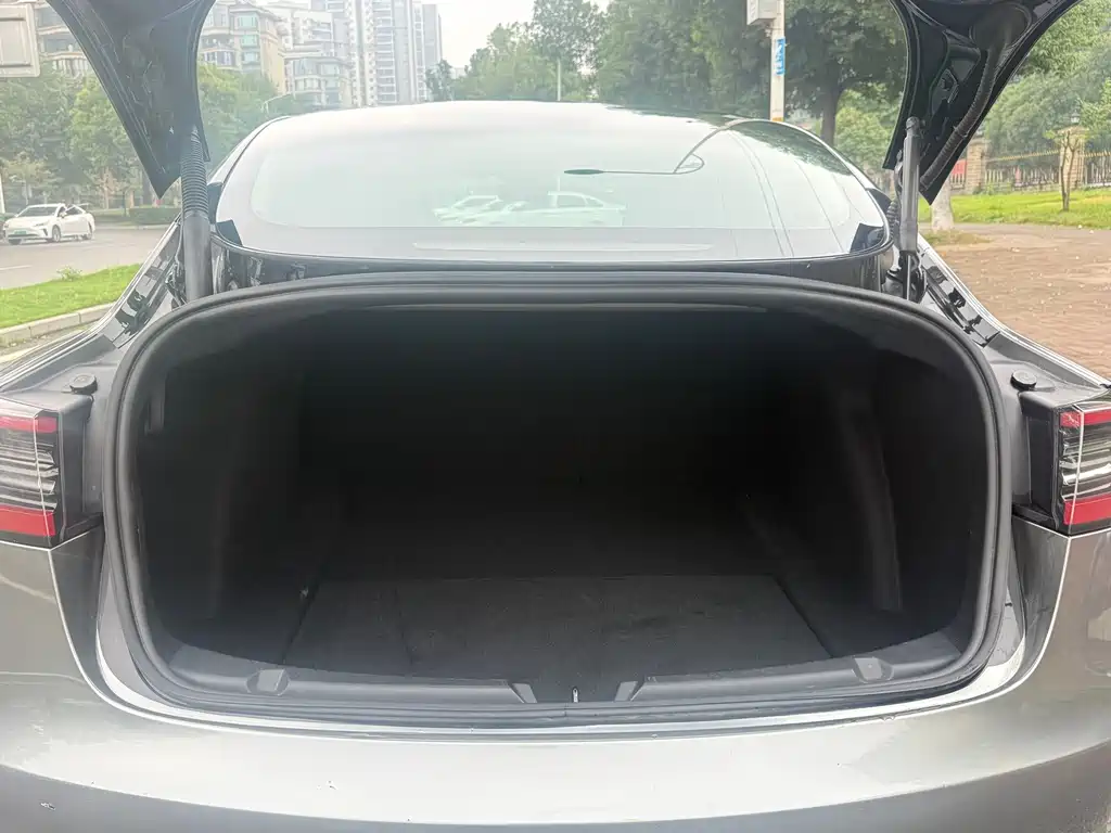 Tesla Model 3 — миниатюра 14