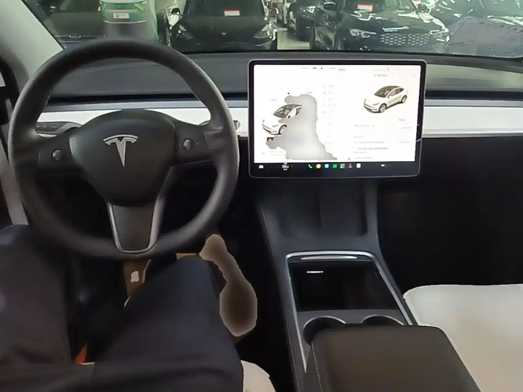 Tesla Model Y — миниатюра 10