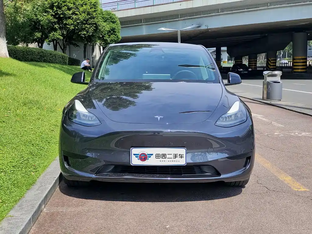 Tesla Model Y — миниатюра 2