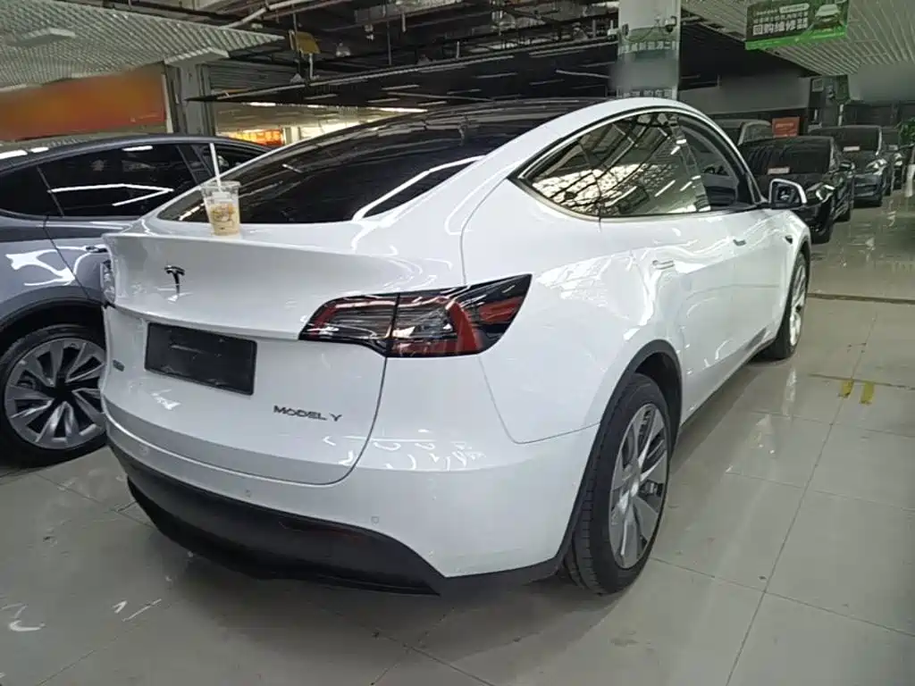 Tesla Model Y — миниатюра 7