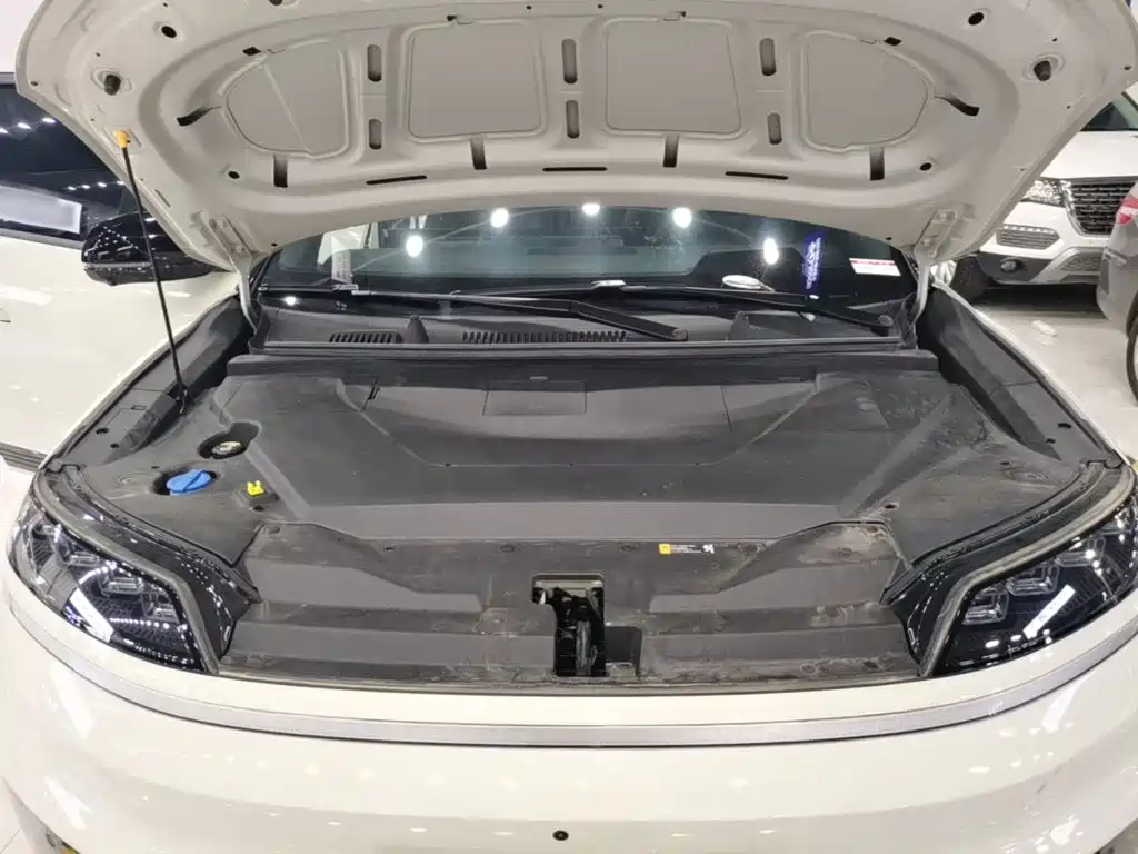 Hyundai EO — миниатюра 20