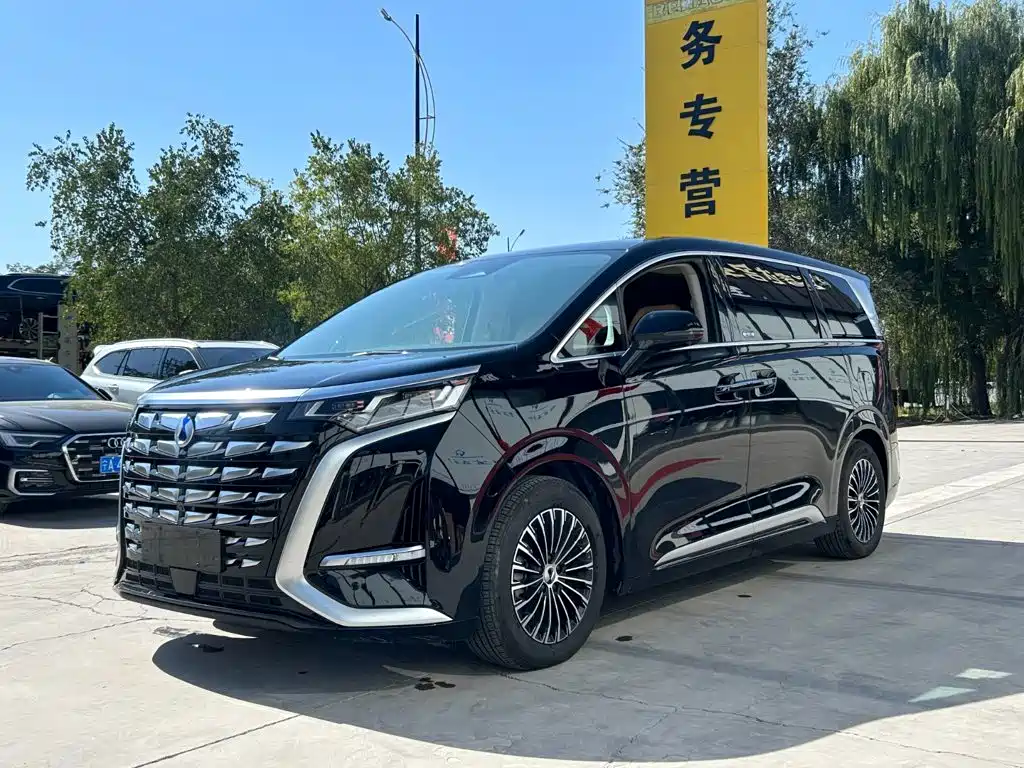 Denza Denza D9