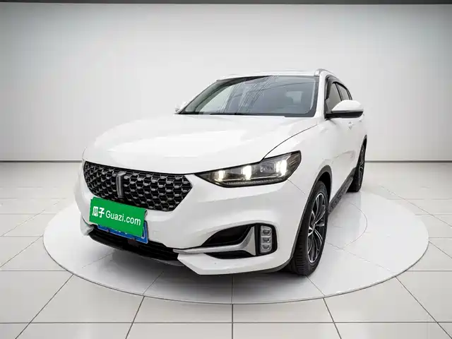 2021 Wey VV6