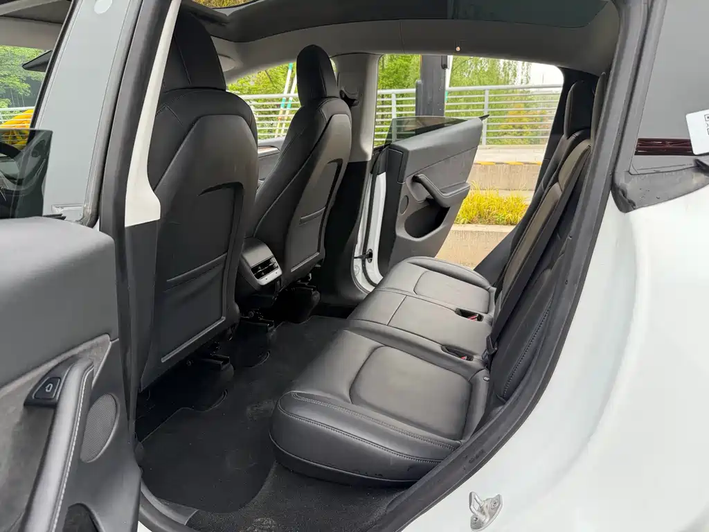 Tesla Model Y — миниатюра 8
