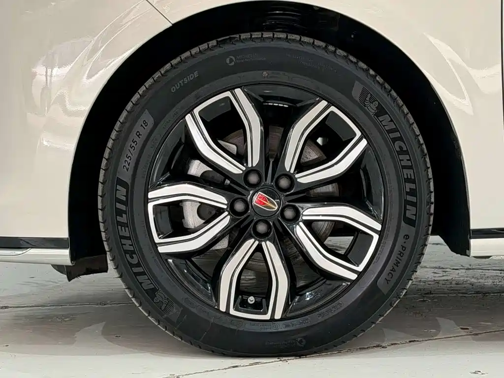 Hongqi Hongqi HQ9 — миниатюра 11
