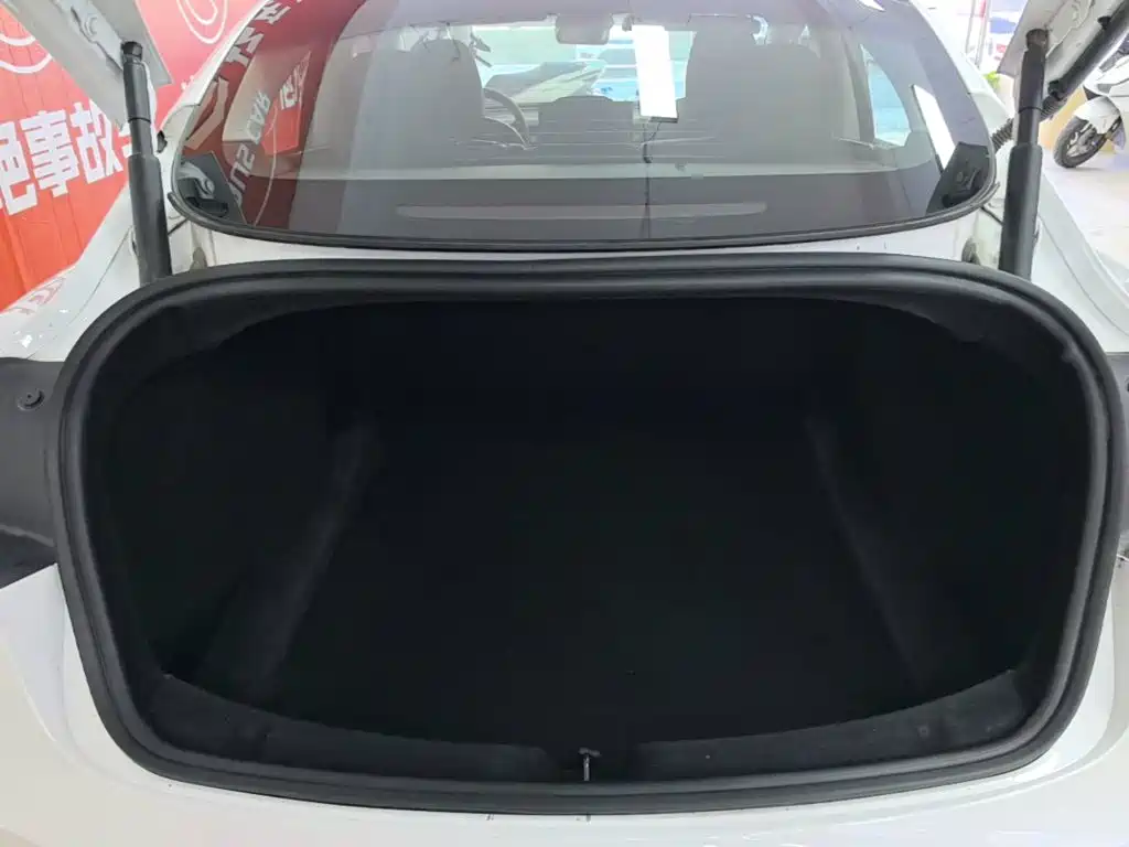 Tesla Model 3 — миниатюра 19