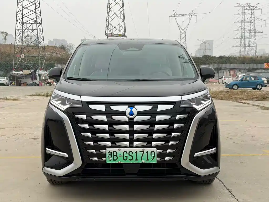 Denza Denza D9 — миниатюра 2