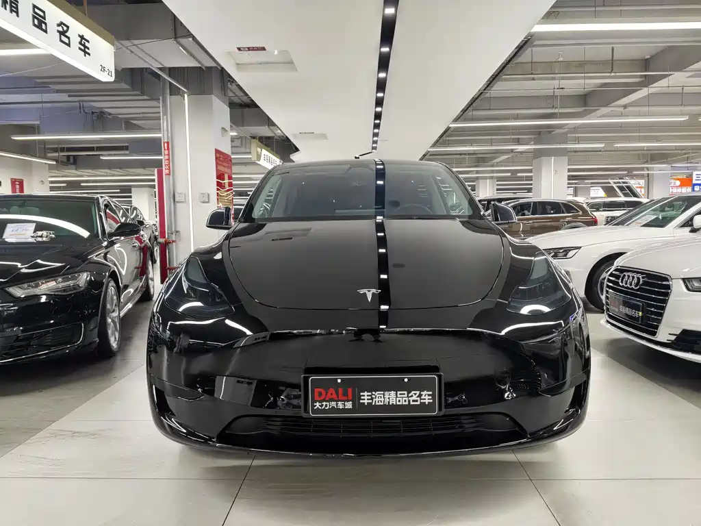 Tesla Model Y — миниатюра 2