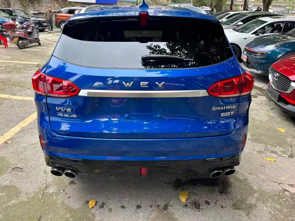 WEI PAI WEI BRAND VV6