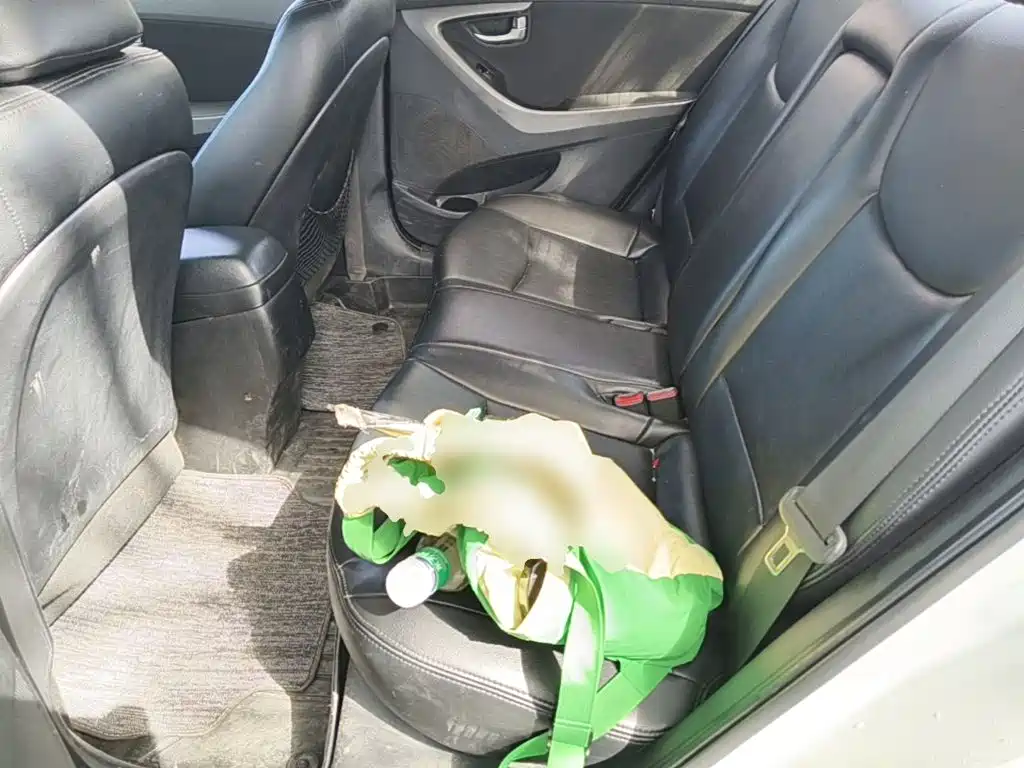 Hyundai Elantra Langdong — миниатюра 17