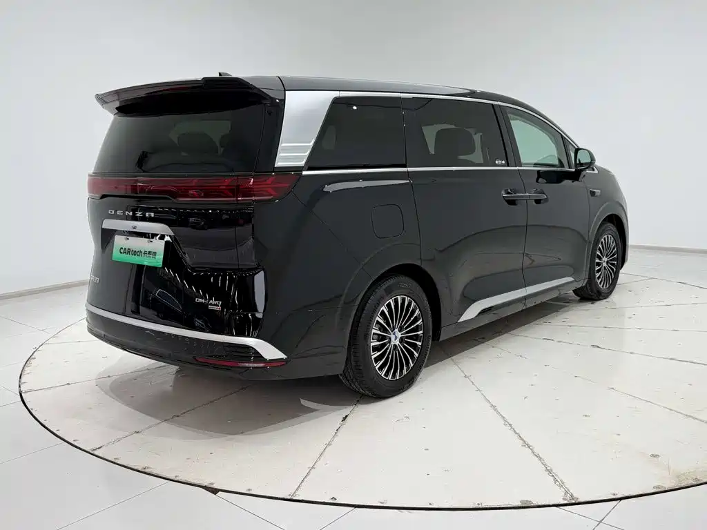 Denza Denza D9 — миниатюра 29