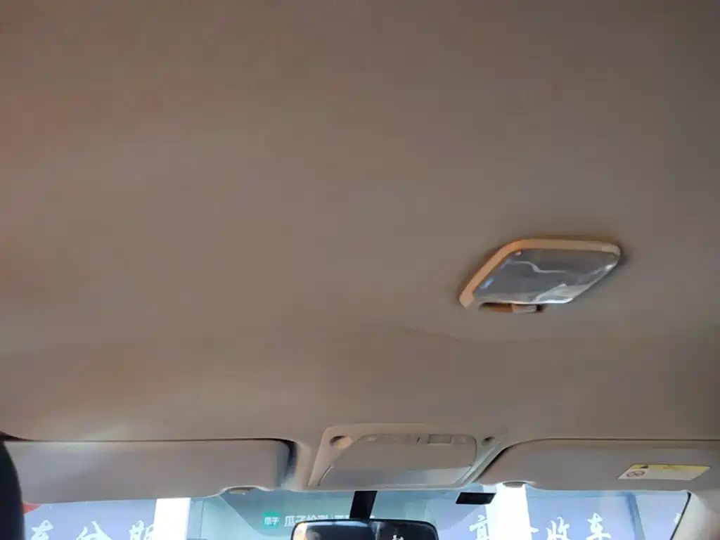 Dongfeng Rich 6 New Energy — миниатюра 18