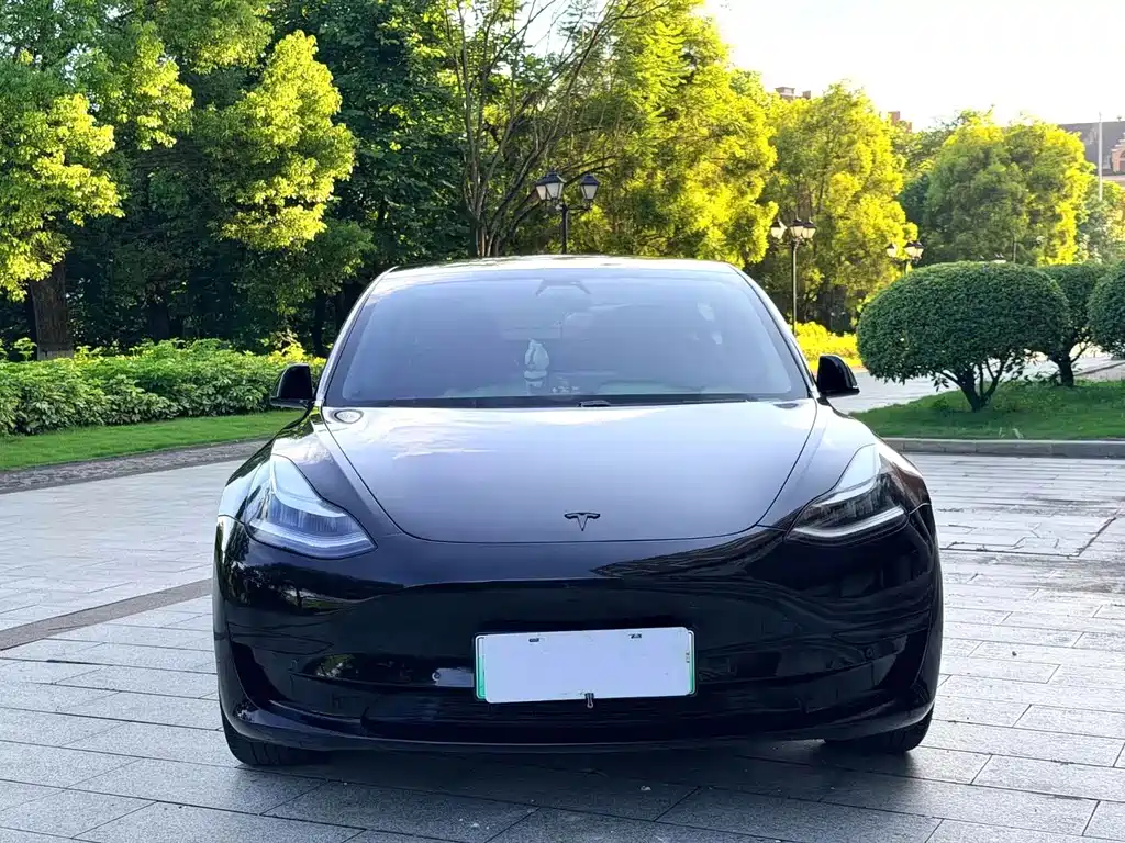 Tesla Model 3 — миниатюра 2