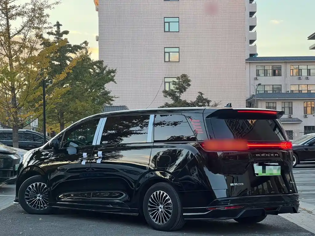 Denza Denza D9 — миниатюра 5