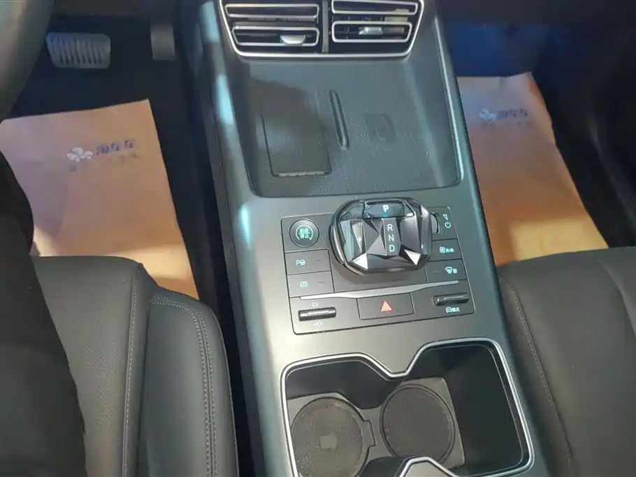 BYD SONGJIANG NEW ENERGY