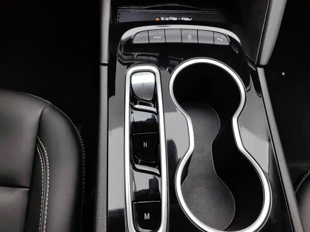 Buick Regal — миниатюра 13
