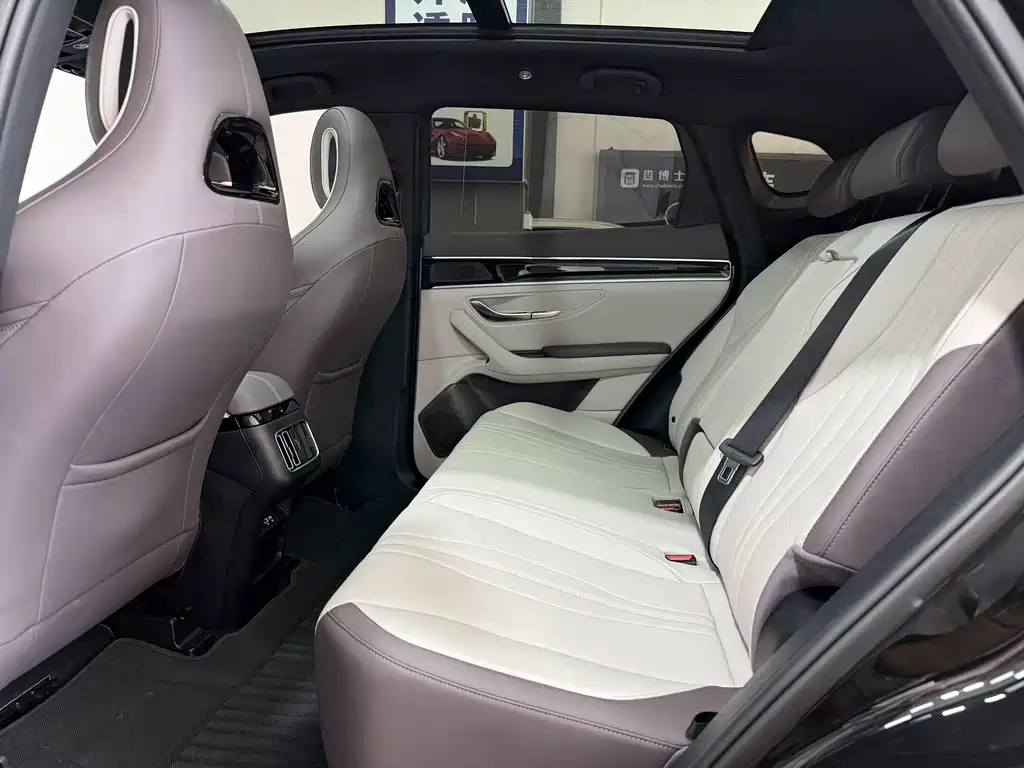 BYD PLUS New Energy — миниатюра 6