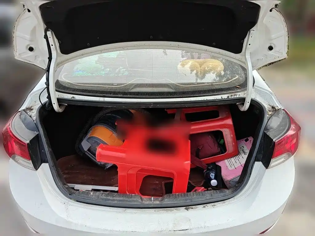 Hyundai Elantra Langdong — миниатюра 10