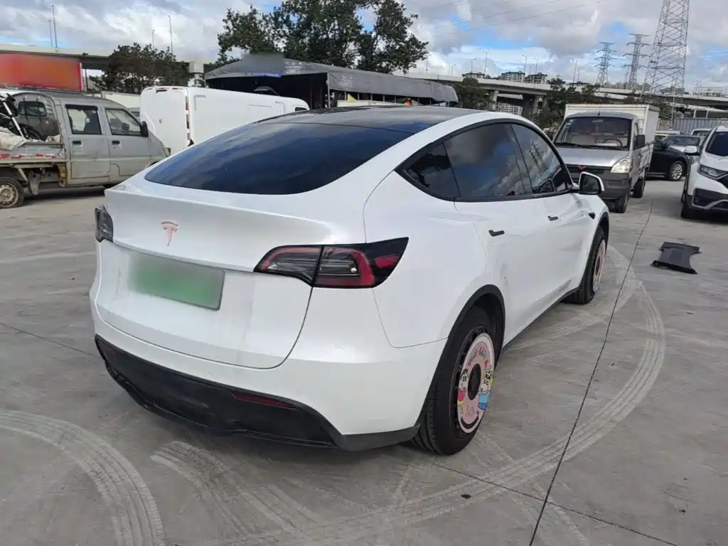 Tesla Model Y — миниатюра 7