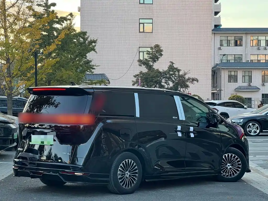 Denza Denza D9 — миниатюра 7