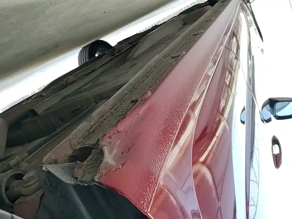Chevrolet Monza — миниатюра 22