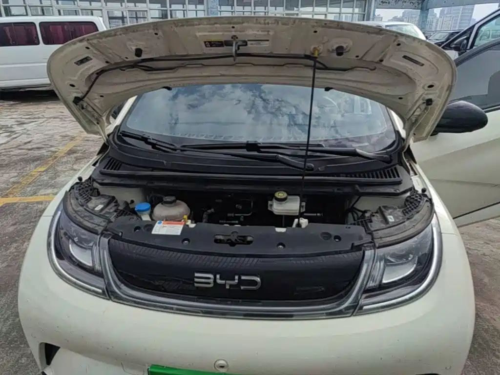 BYD Dolphin — миниатюра 20