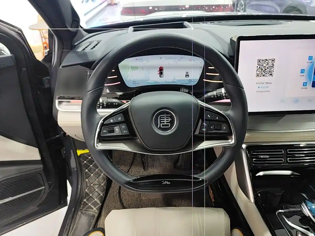 BYD Tang New Energy — миниатюра 11