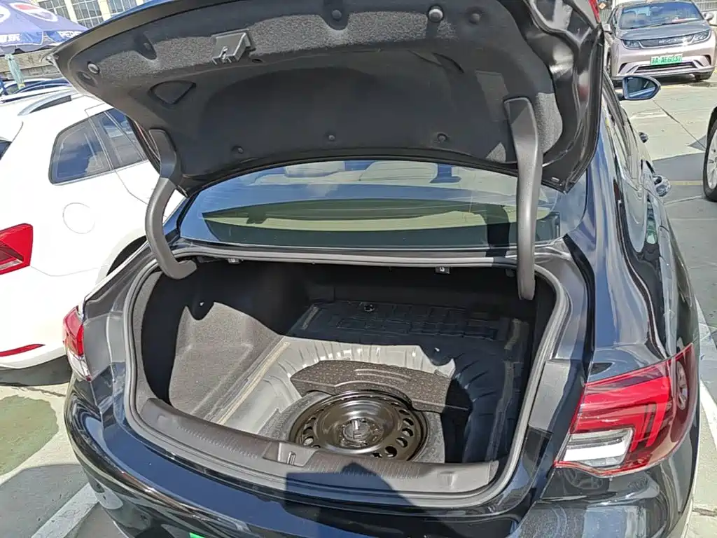 Buick Regal — миниатюра 19