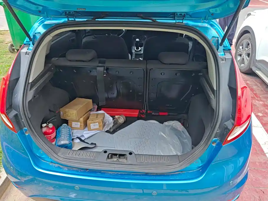 Ford Fiesta — миниатюра 4