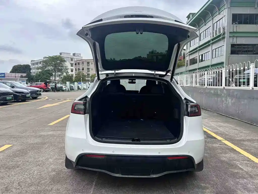 Tesla Model Y — миниатюра 16