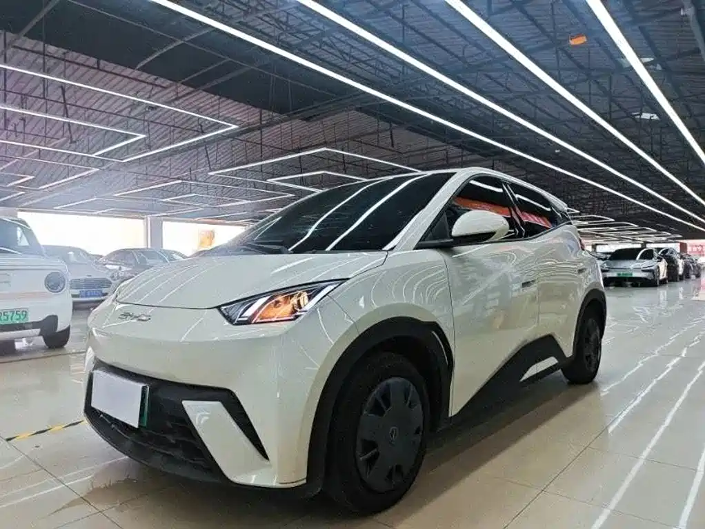 BYD Seagull