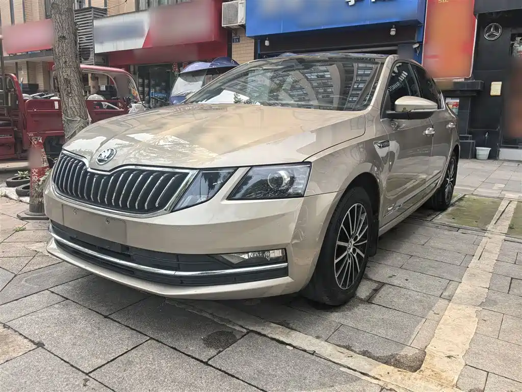 Skoda Octavia 2019 1.5L AT Luxury V