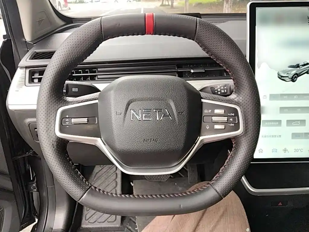 Neta Neta V — миниатюра 11